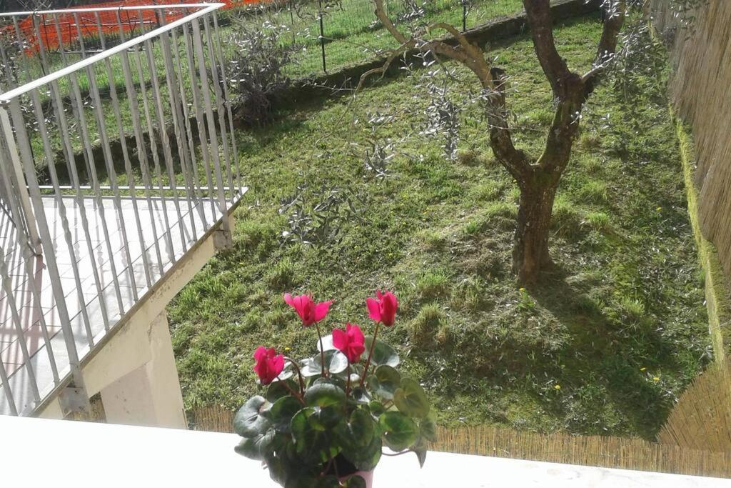 Appartement La Collina à Riccò del Golfo di Spezia Extérieur photo