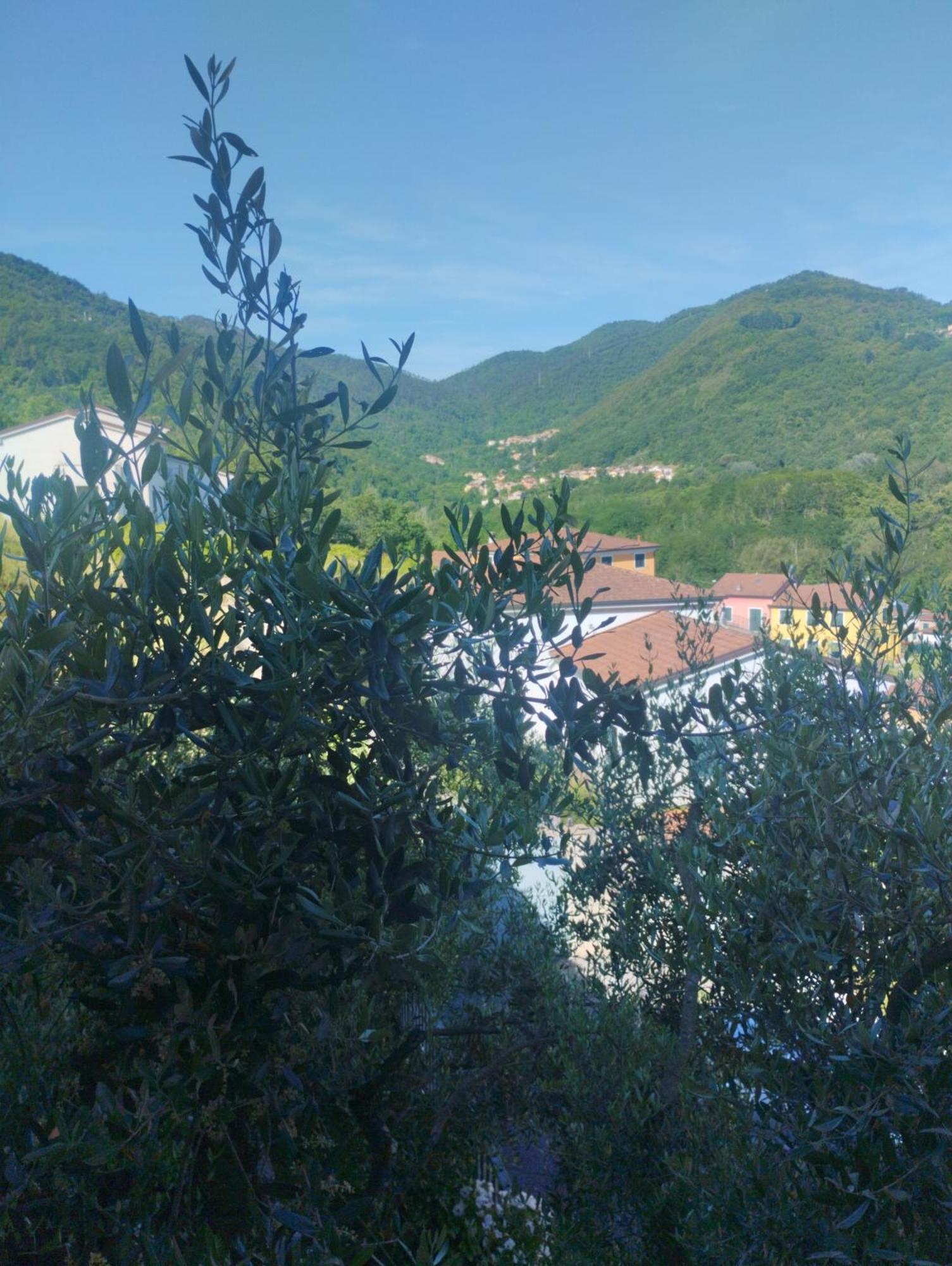 Appartement La Collina à Riccò del Golfo di Spezia Extérieur photo