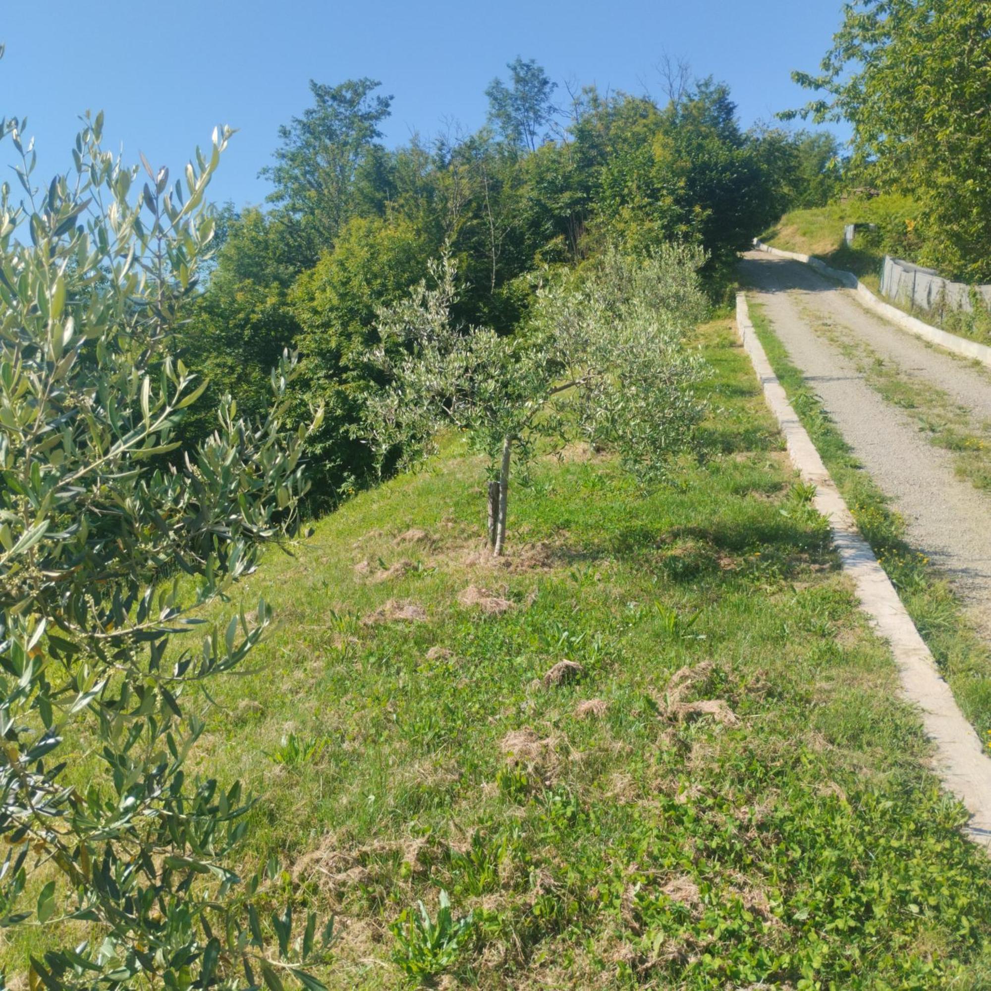 Appartement La Collina à Riccò del Golfo di Spezia Extérieur photo